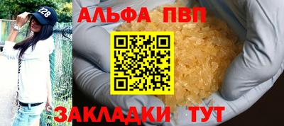 стафф Кингисепп