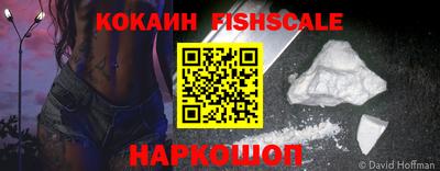стафф Кингисепп