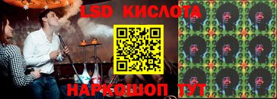 стафф Кингисепп