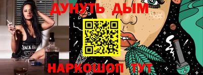 стафф Кингисепп
