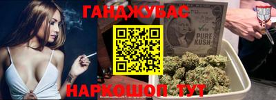 стафф Кингисепп