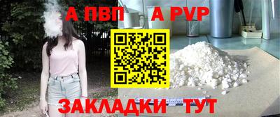 стафф Кингисепп