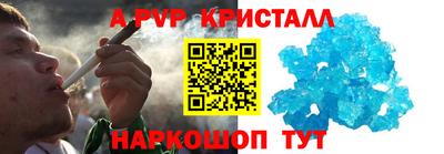 стафф Кингисепп