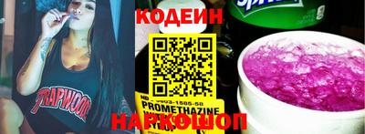 стафф Кингисепп