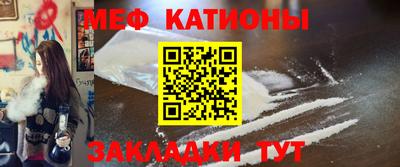 стафф Кингисепп