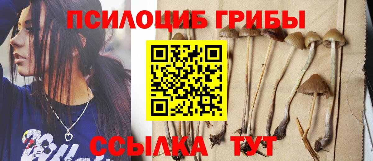 Галлюциногенные грибы Psilocybe  Псилоцибиновые грибы Cubensis  Вход с VPN  Кирово-Чепецк 